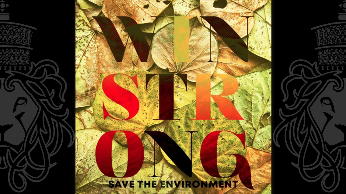 Winstrong - Save The Environment