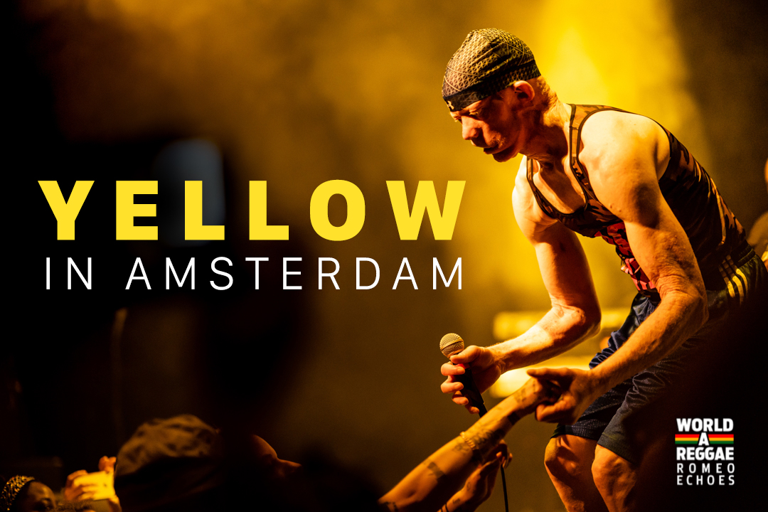 Yellowman in amsterdam 2019