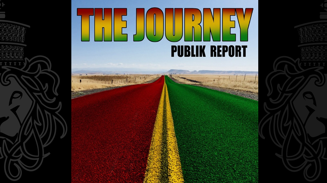 Publik Report The Journey
