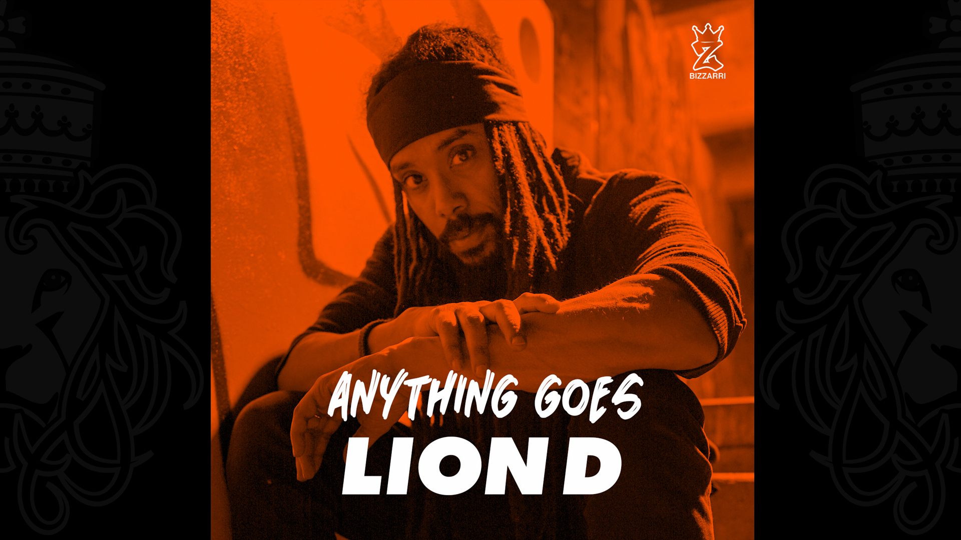 Lion D - Anything Goes